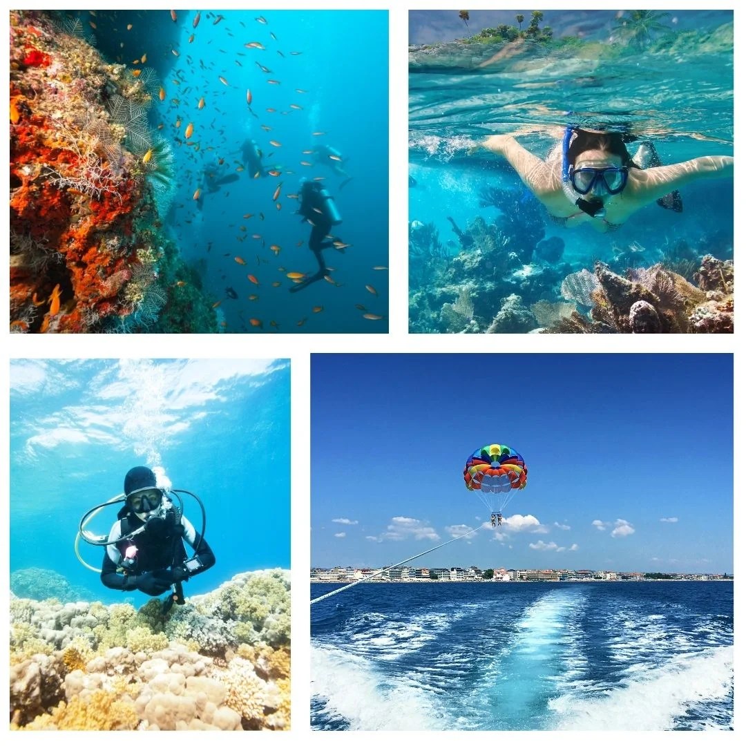 Scuba Diving in Goa Scuba Goa Dive Centre