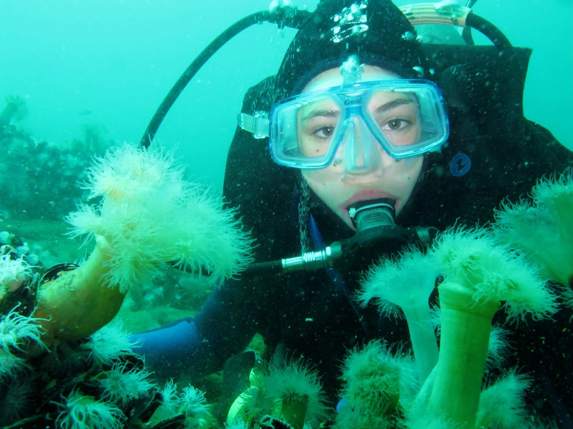 What Is a Scuba Diving Regulator and How Does It Work?