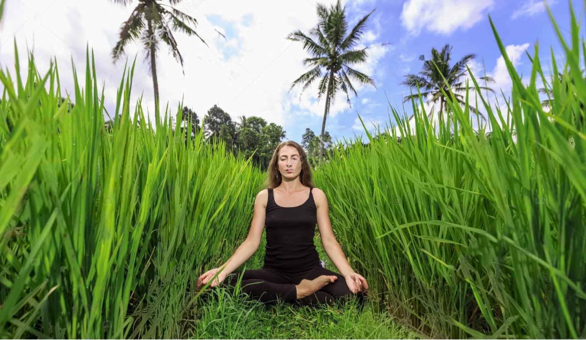 Yoga Scuba Diving Retreat Bali Diving Academy We Connect You With