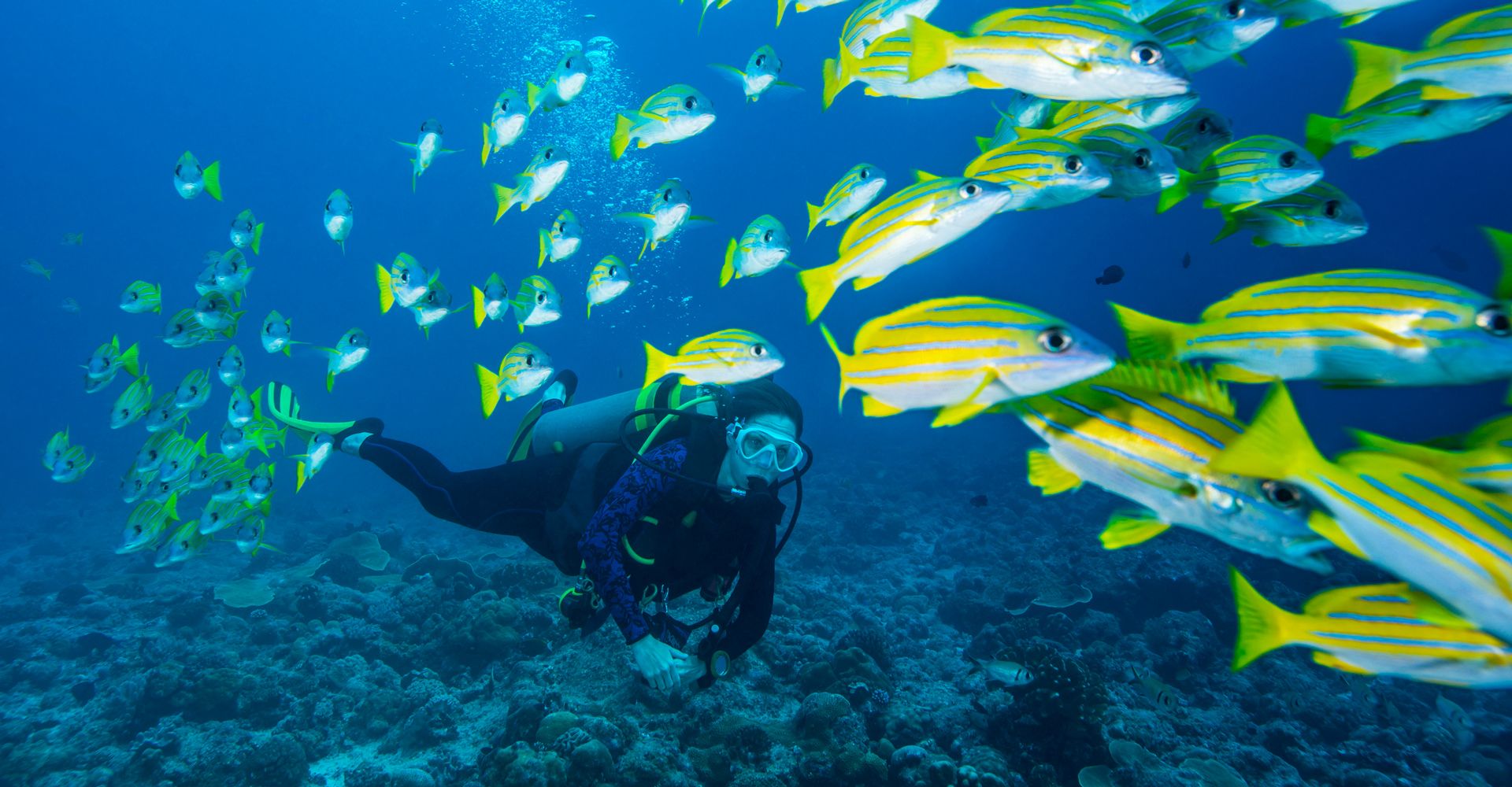 a Certified Diver Scuba Show June 1 & 2, 2024