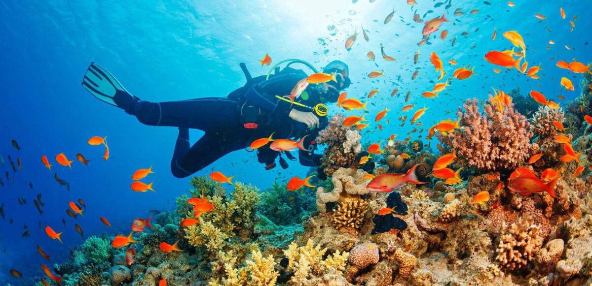 Best Reef Diving In The World Top 10 Countries Scuba Splash