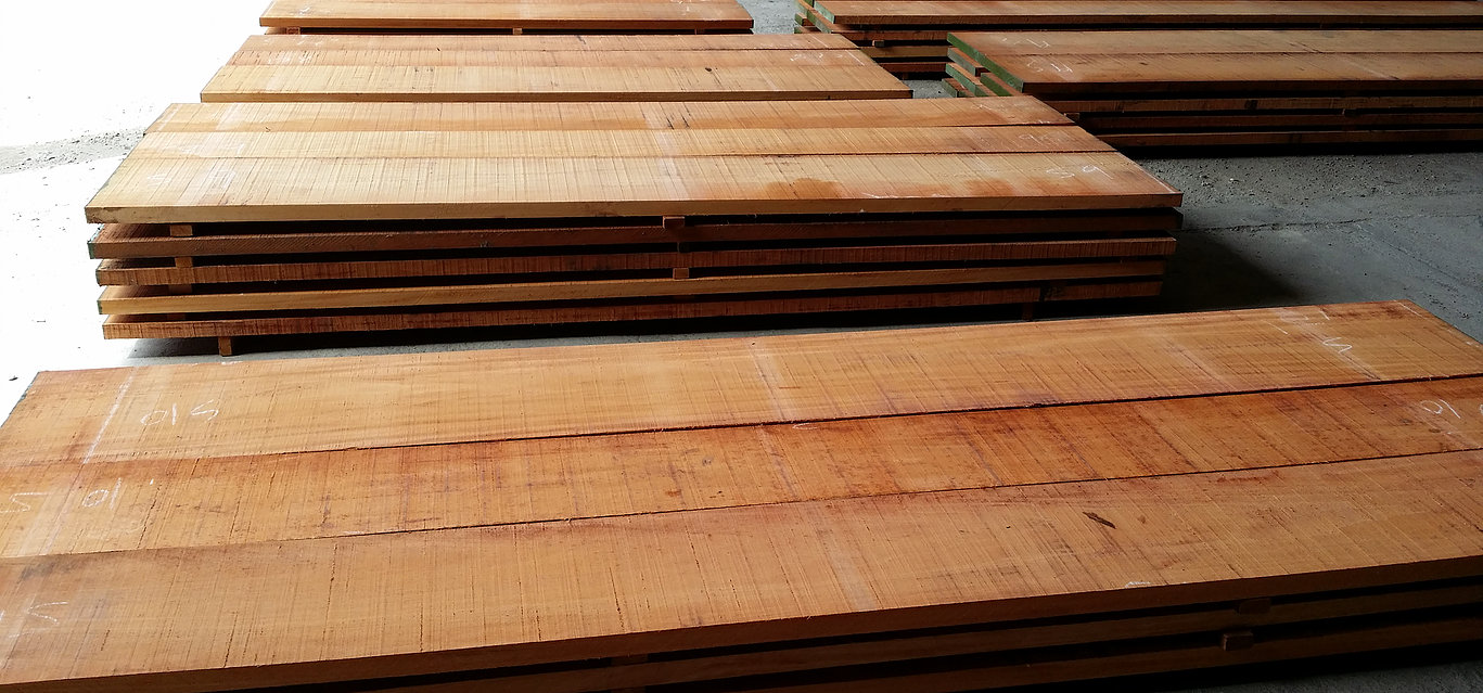 Scud Timber