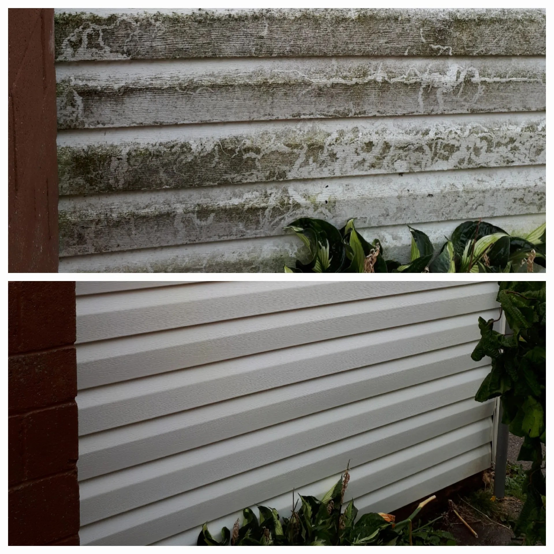 Services Scully's Window Works