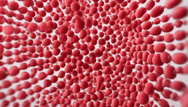 How the Pfizer COVID vaccine gets from the freezer into your arm