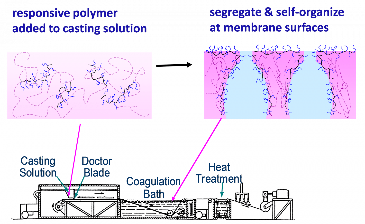 Responsive filtration membranes by polymer selfassembly