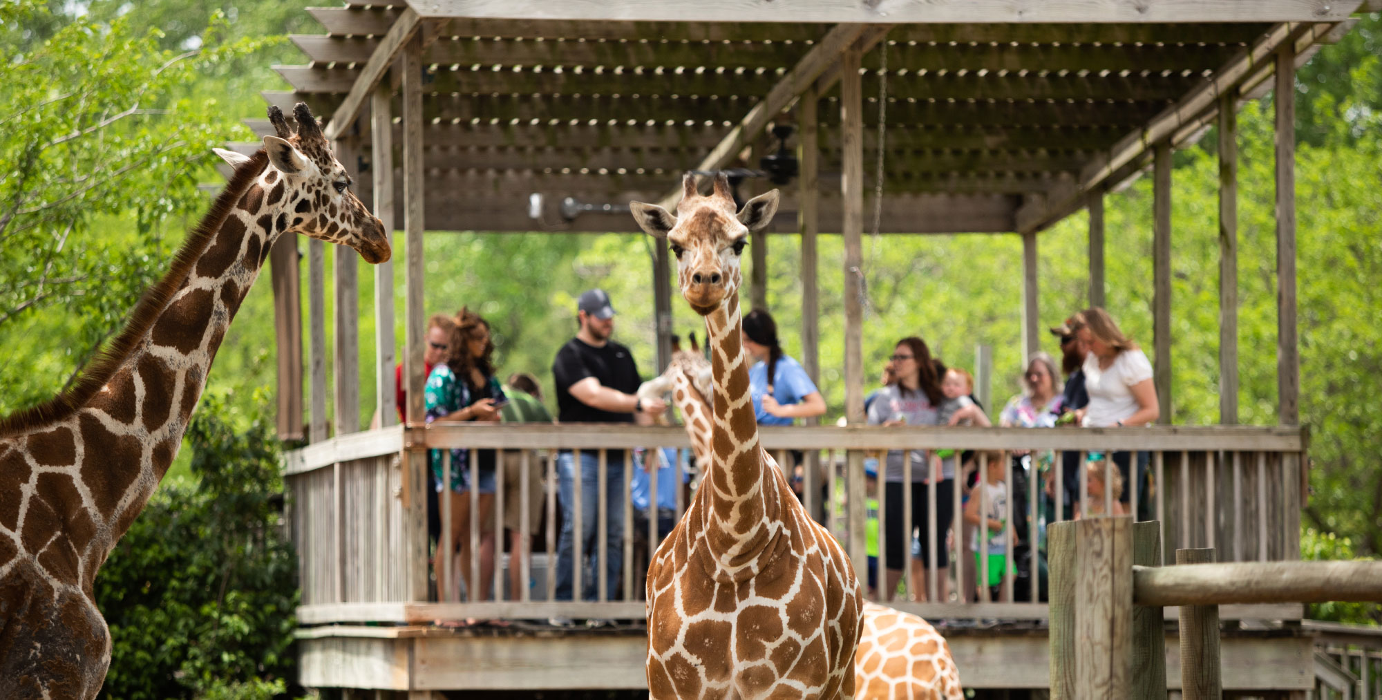 Contact Sedgwick County Zoo