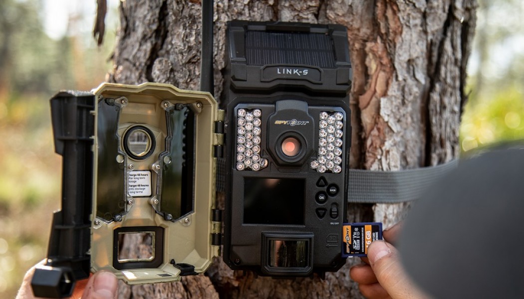 7 “Wild” SD Cards for Trail Cameras [Review 2024]