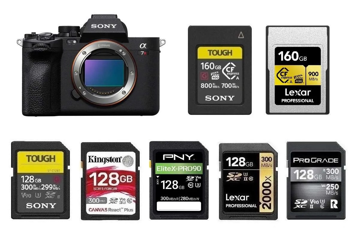 7 Best SD Cards for Sony a7RV (2024 Guide)