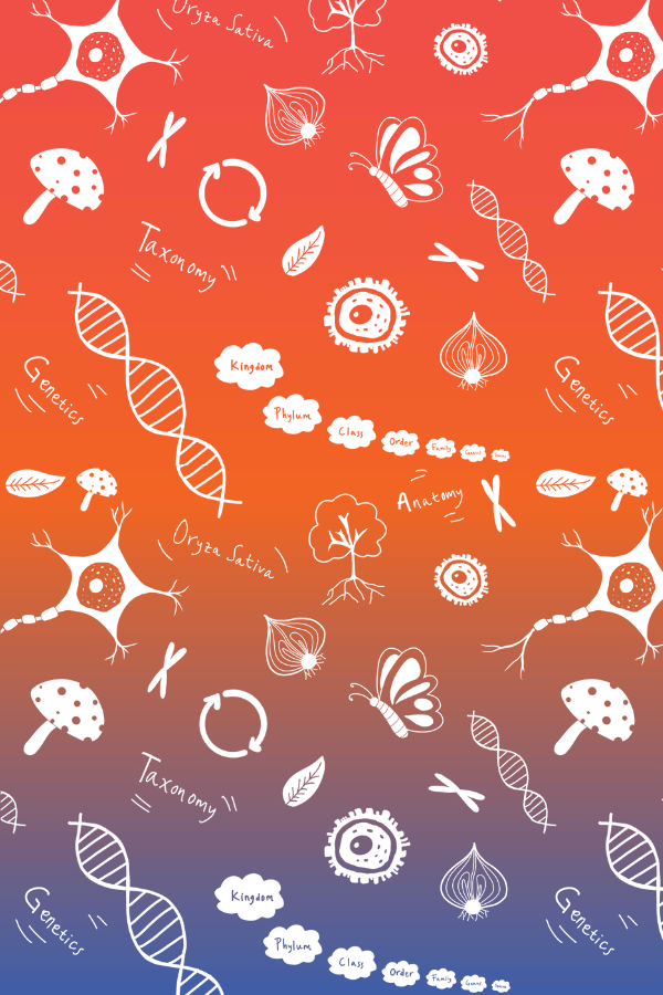 Biology 101 An Intro to Biology San Diego Squared