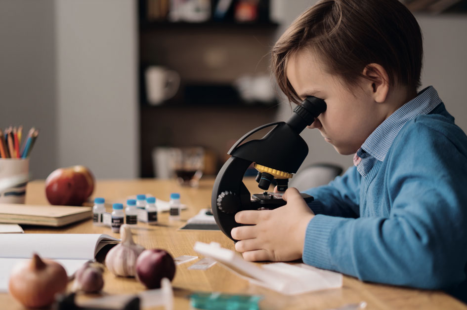 The Importance of Natural Sciences in Children’s Education