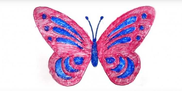 бабочка фото как нарисовать