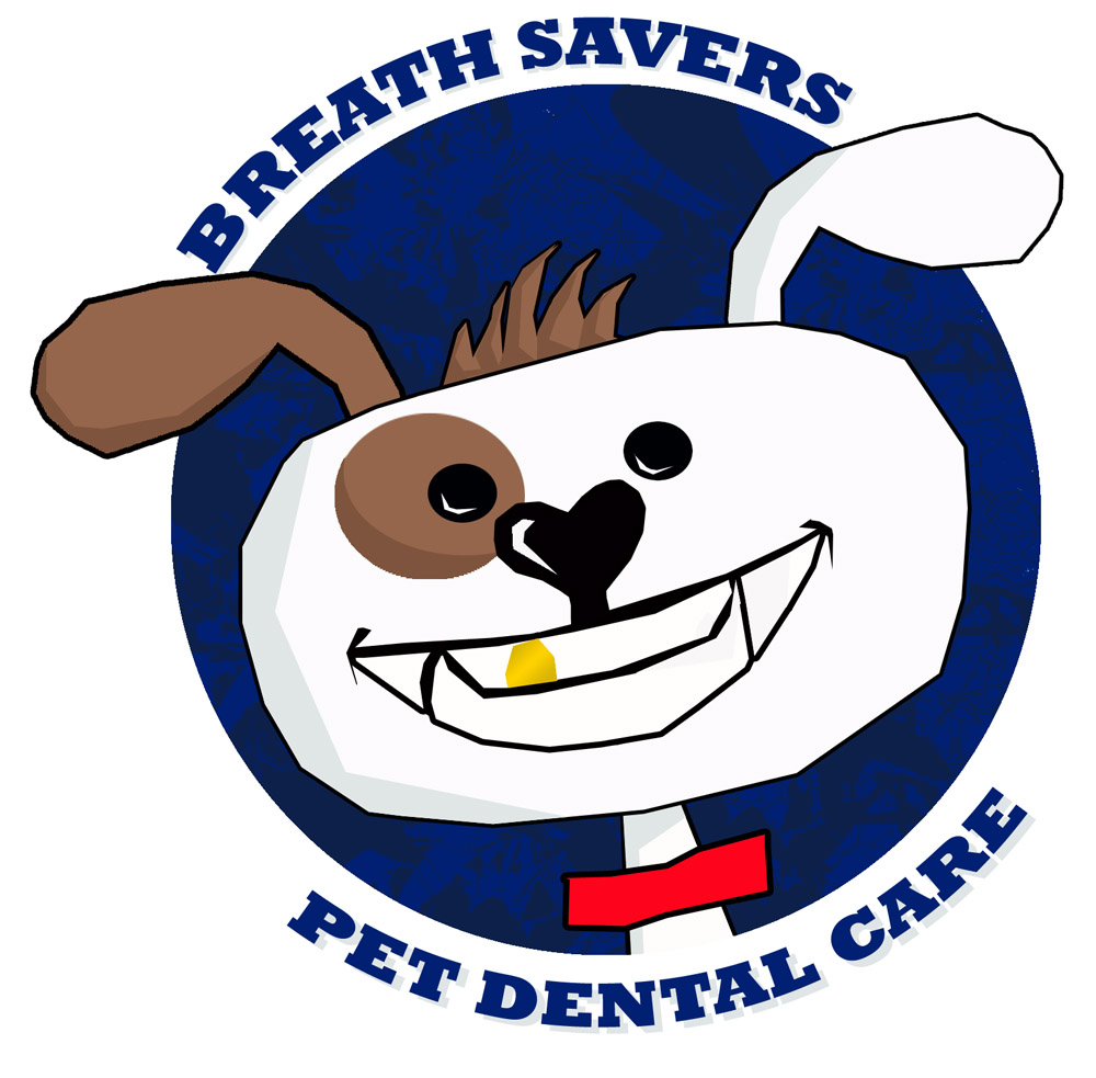 Teeth Cleaning San Diego Grooming Academy