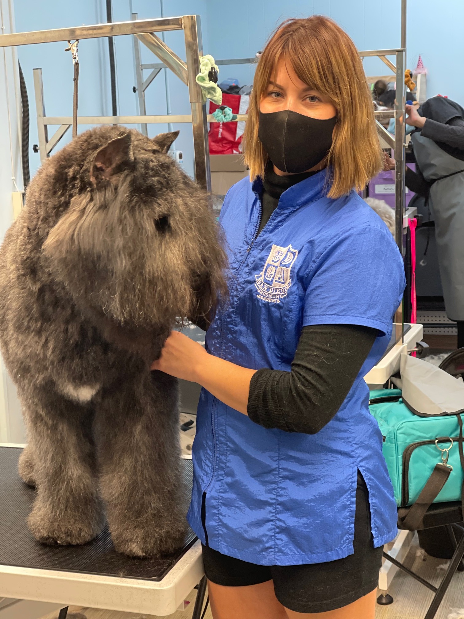 Student Grooming San Diego Grooming Academy