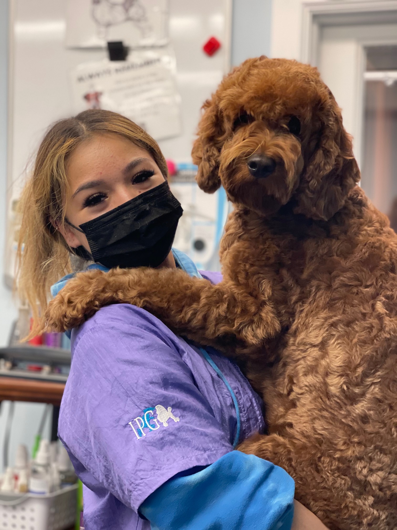 Student Grooming San Diego Grooming Academy