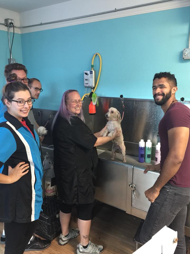 Photo Gallery San Diego Grooming Academy