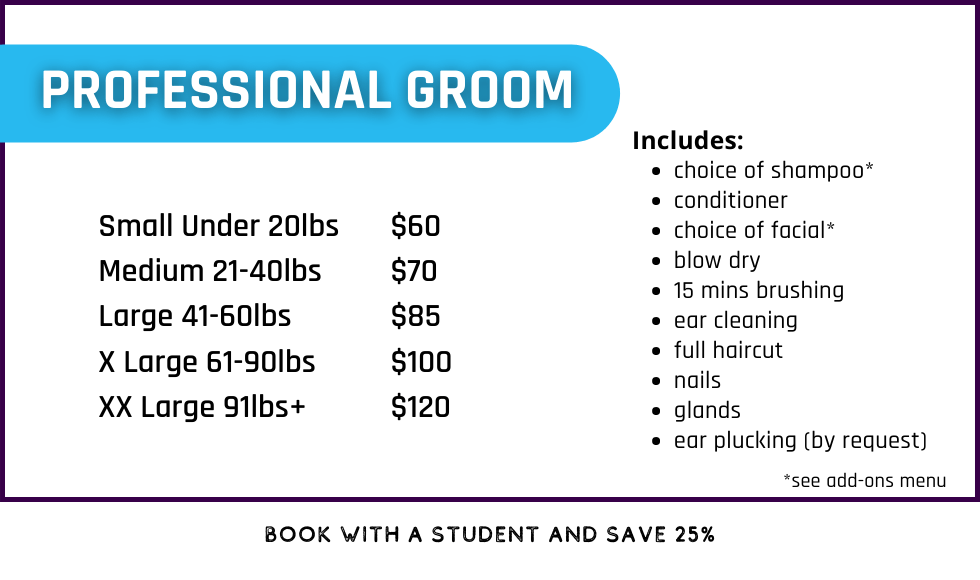 Professional Grooming San Diego Grooming Academy