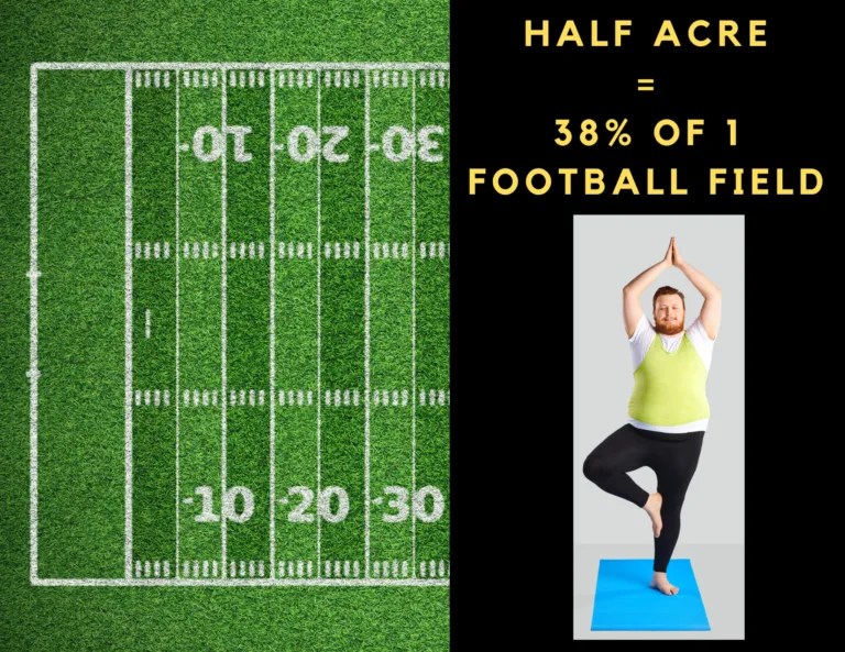 7 Ways to Visualize How Big a Half Acre of Land Is