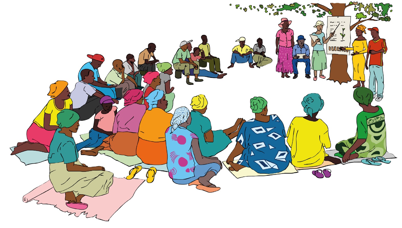 Facilitators' Field Guide for FFS on Participatory Plant BreedingPlot design for PVS research