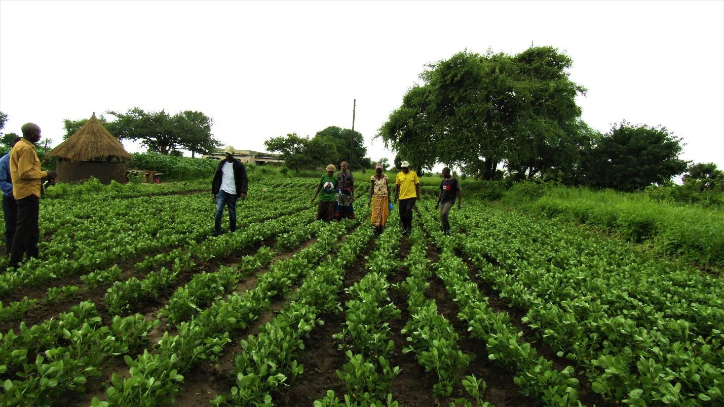 Farmers Seed Enterprises successfully pass first inspection for seed