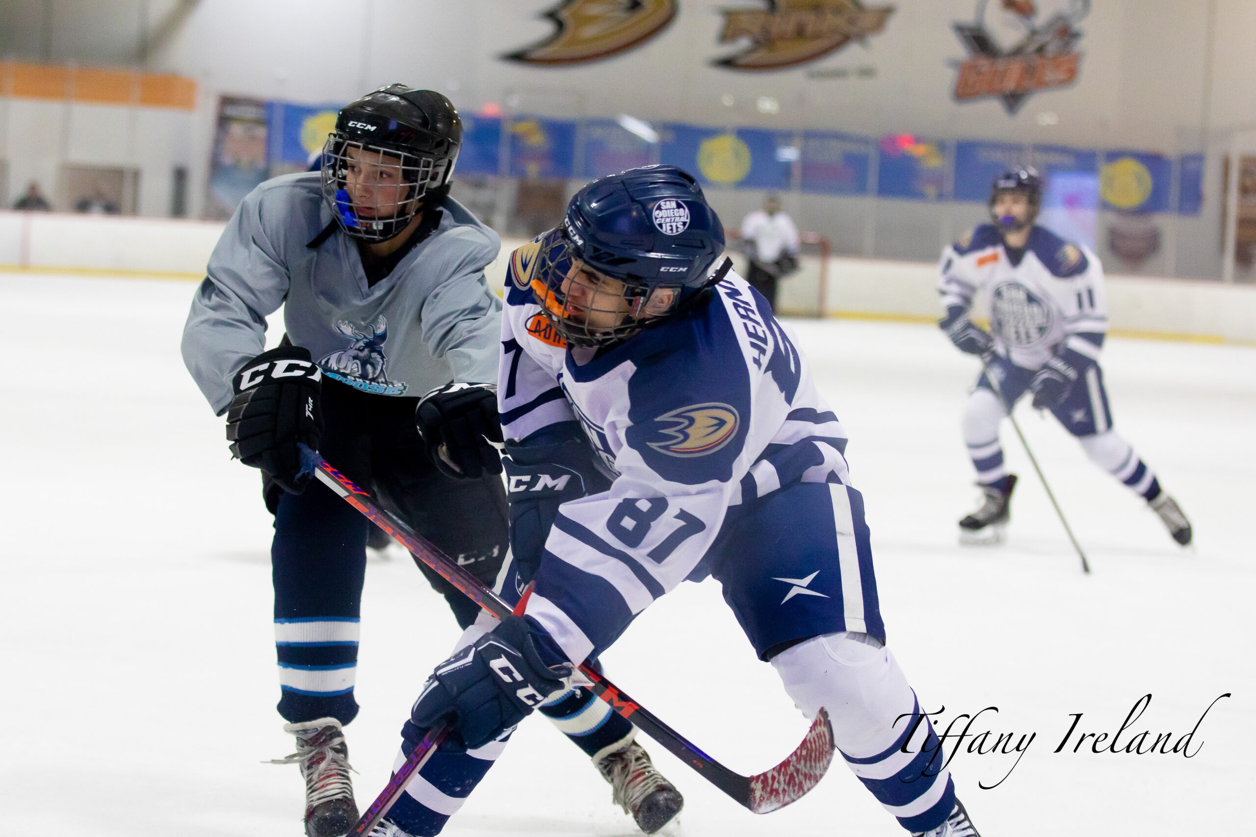 High School Hockey Embed SDICE