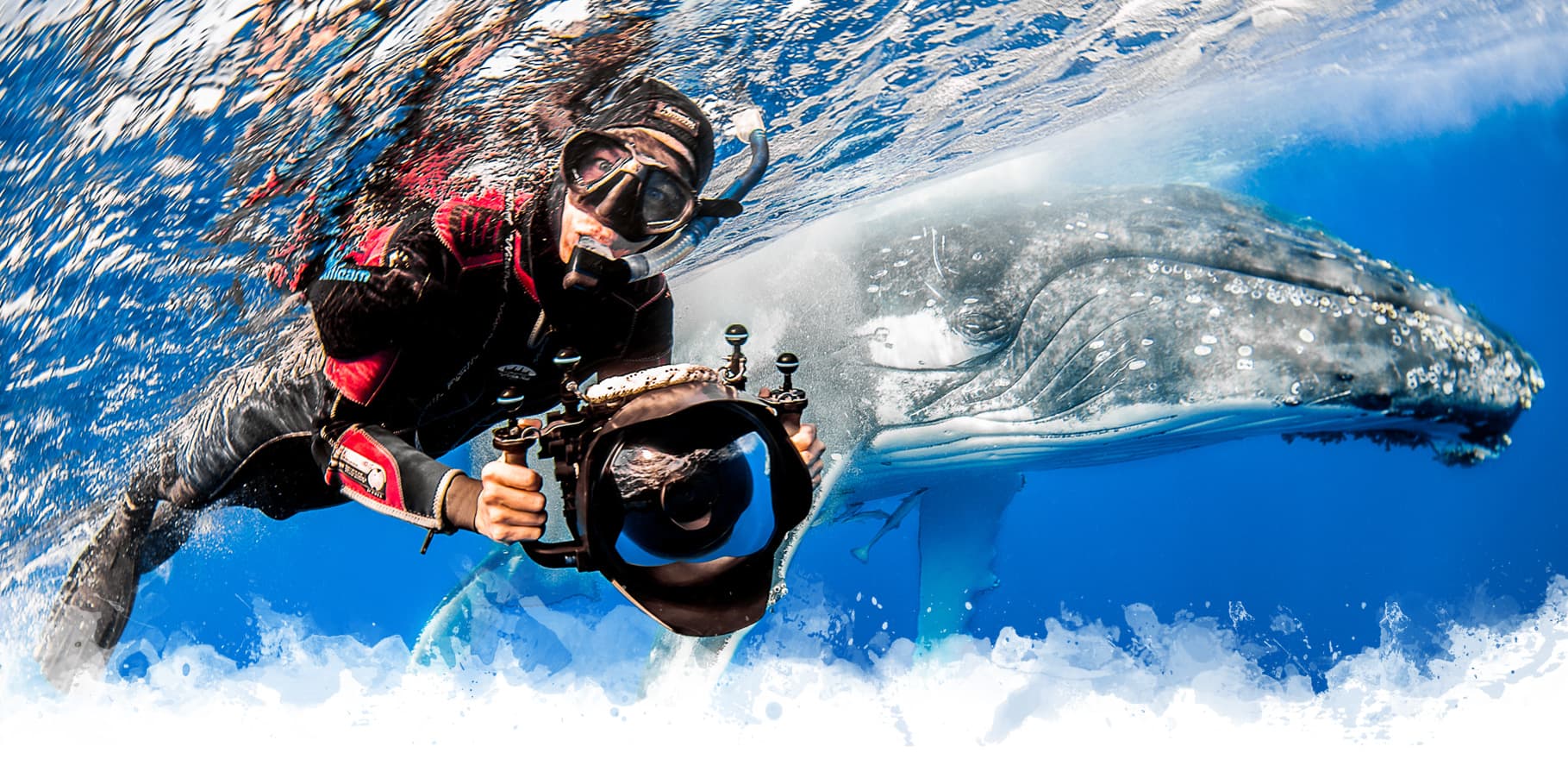 itinerary Scuba Diver Life Expeditions