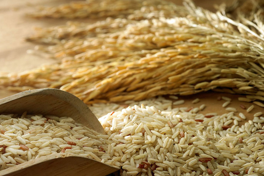 Paddy Rice SDLG Radiant Pvt. Ltd