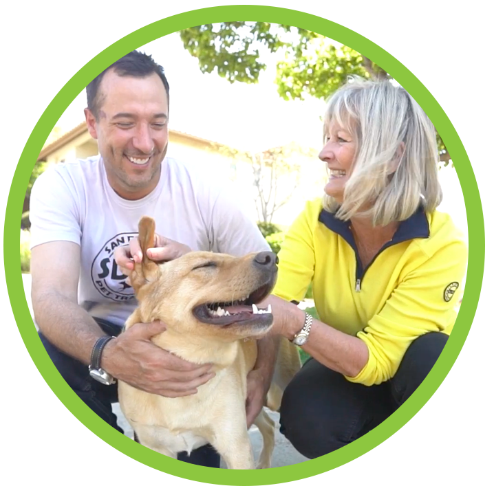 San Diego Pet Training San Diego Pet Training Dog Training