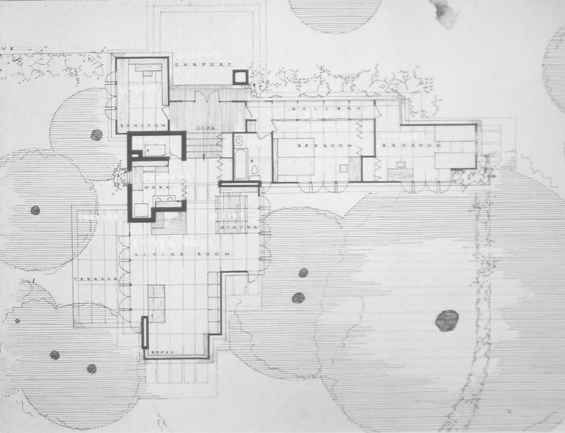 The Initial Plans for a Larger PopeLeighey Wright Chat
