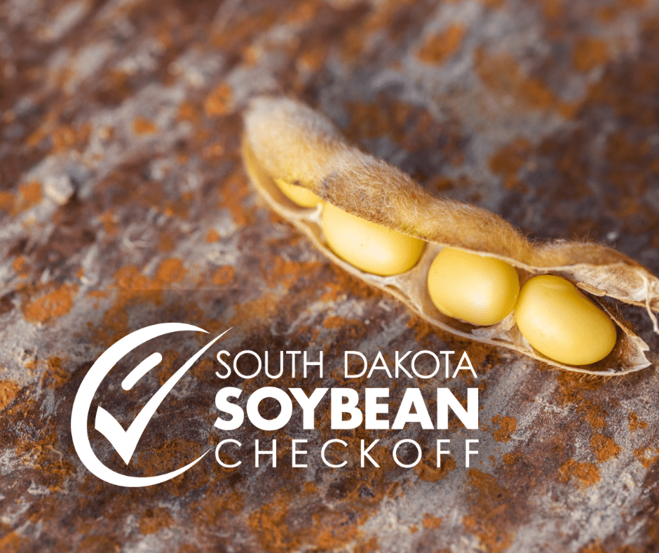 South Dakota Soybean Letter from Your Soybean Checkoff