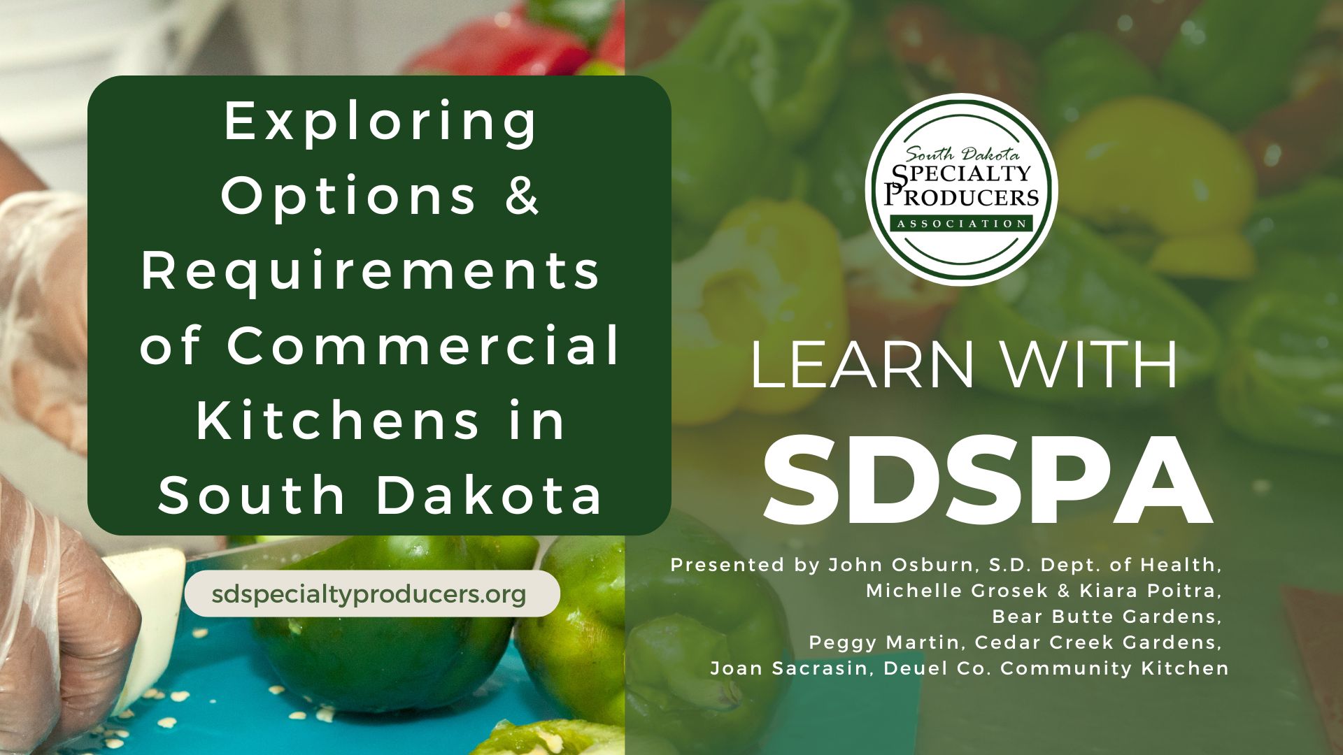 Video Exploring Options & Requirements of Commercial Kitchens in South