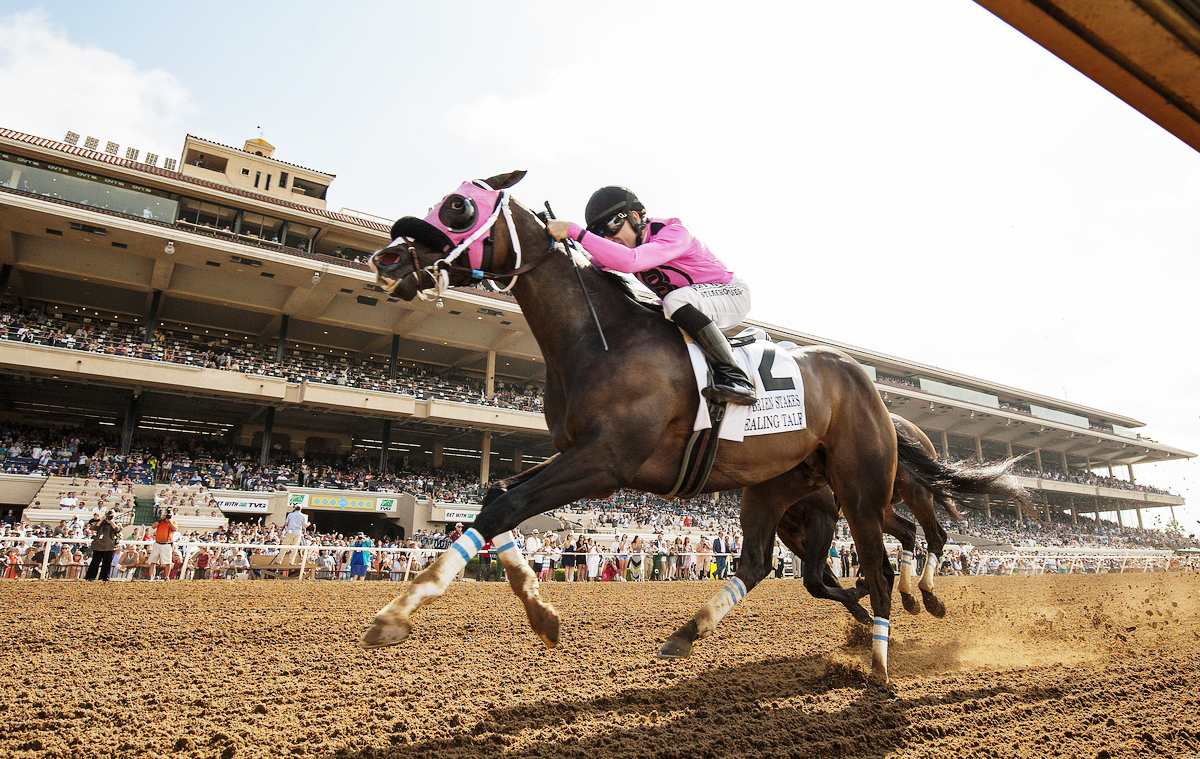 Case Study Breeders’ Cup San Diego Tourism Marketing District