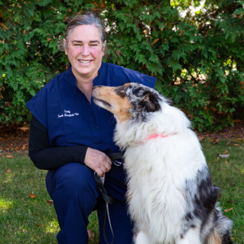 About Us South Deerfield Veterinary Clinic