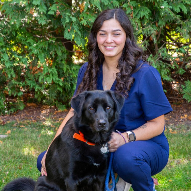 About Us South Deerfield Veterinary Clinic