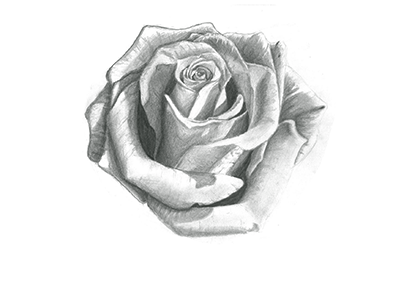 Resolu Photoshop Effet De Transparence Comment Faire Par Jean