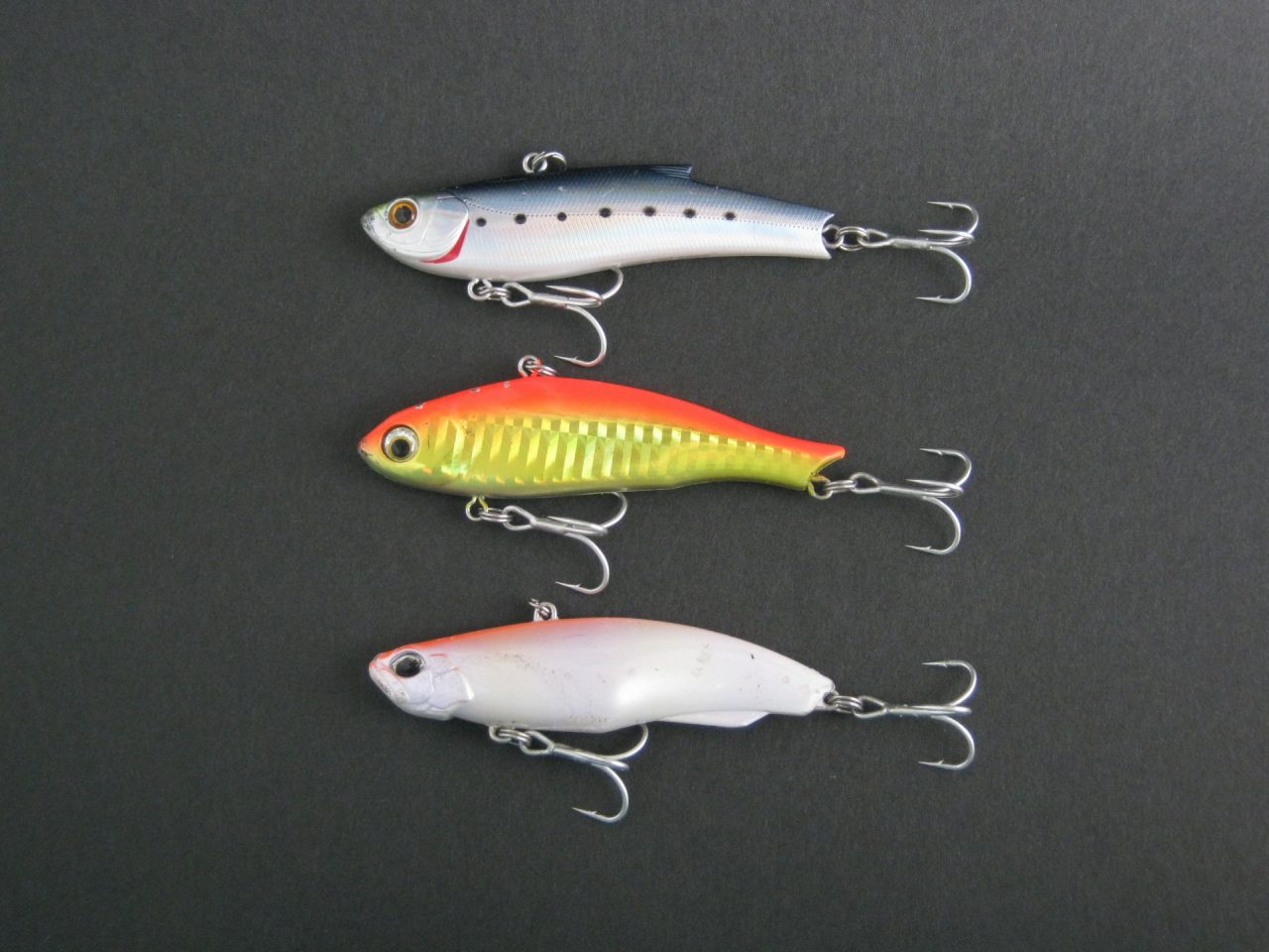 50+シーバス バイブレーション 巻き 方 魚のすべて