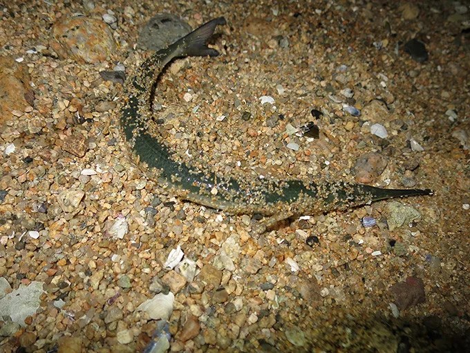 秋から冬のシーバス釣りを楽しむ為のポイント選び