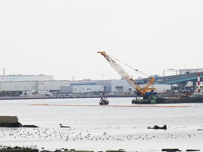 甲子園浜の一部が渡り鳥保護のため立入禁止期間に！！