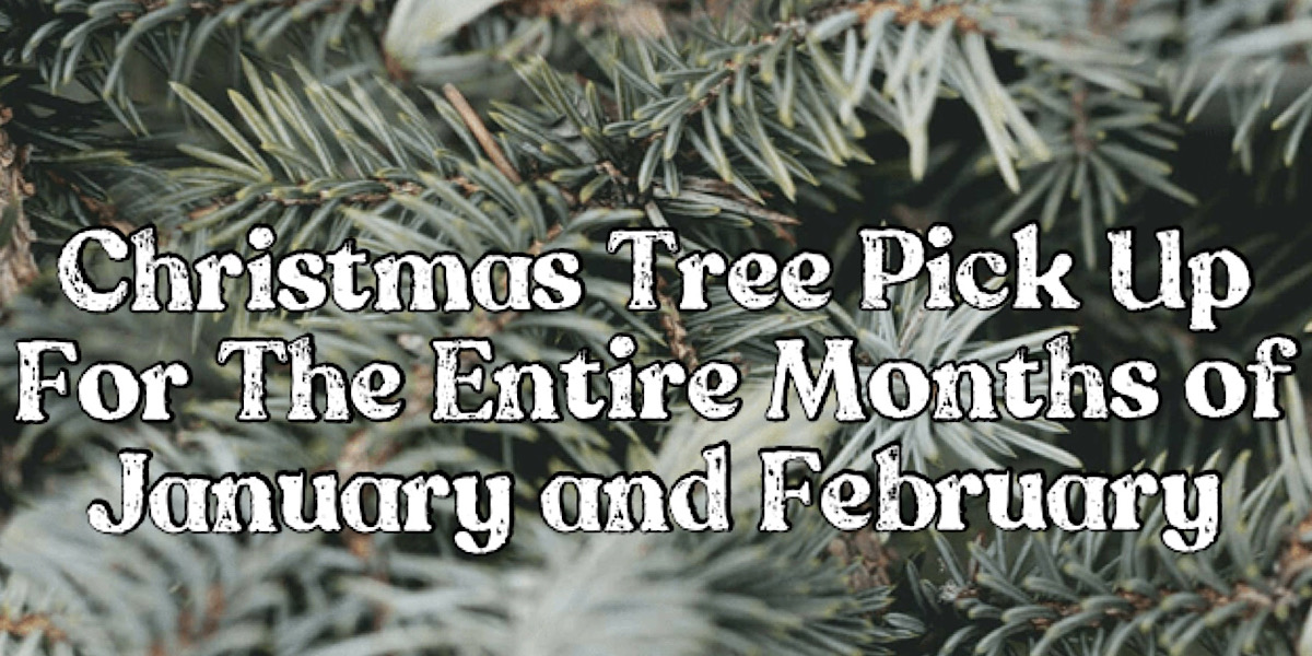 Christmas Tree Pick Up The Town of Seabrook, NH