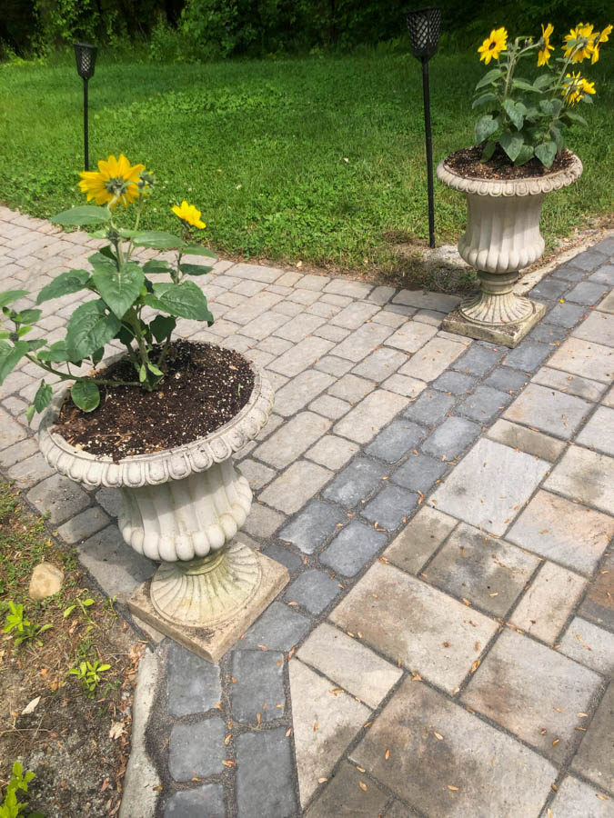 Paver Walkway – Seacoast Concrete