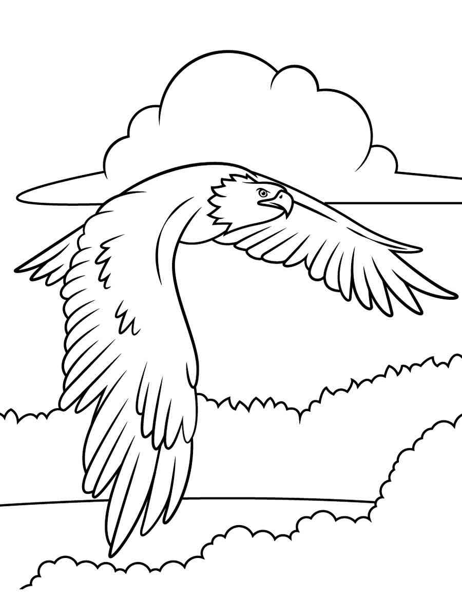 Easy Bald Eagle coloring page