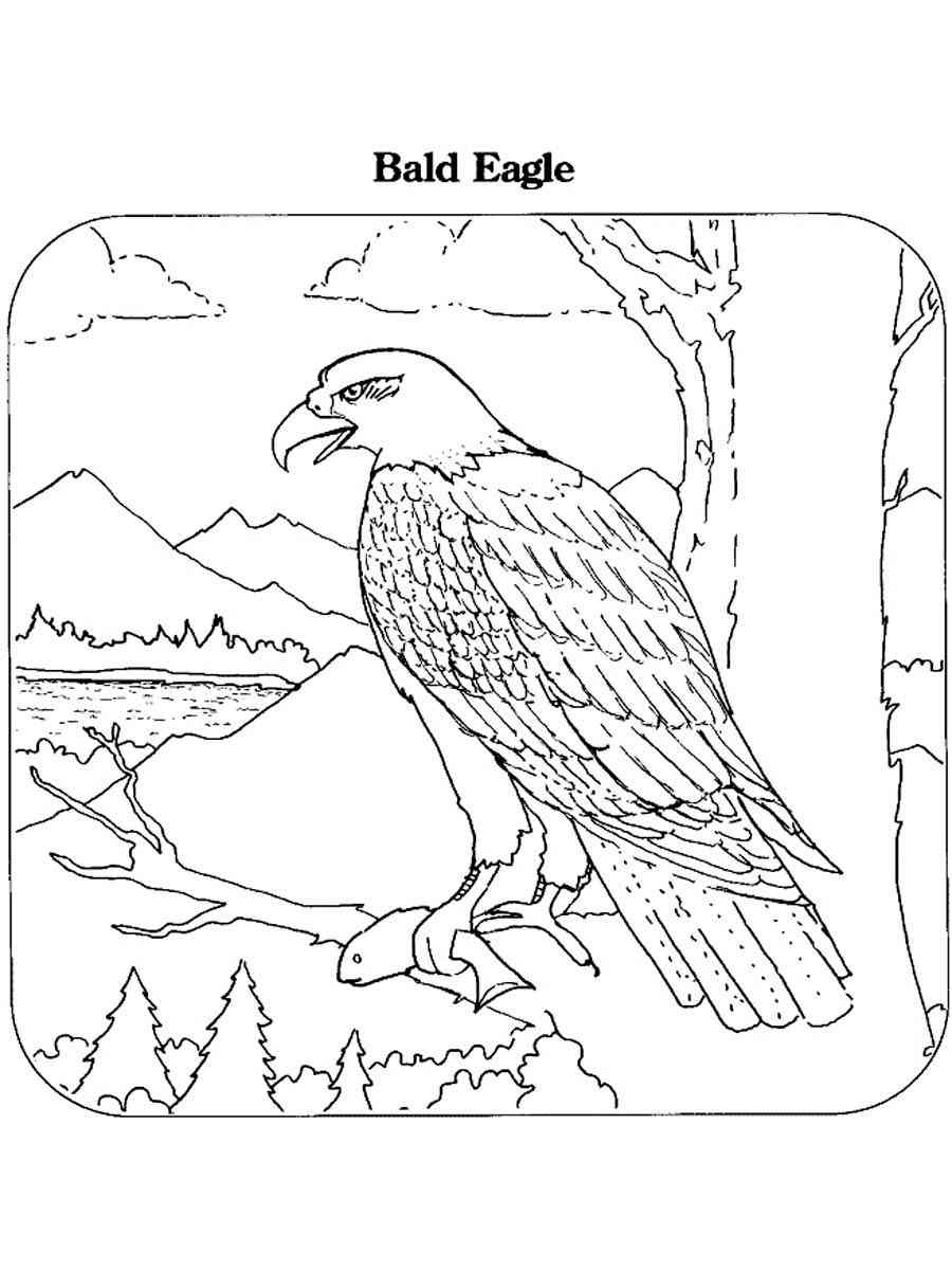 Bald Eagle caught a fish coloring page