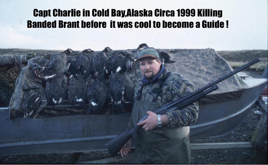 Alaska Sea Duck Hunting Specials and Openings Sea Duck Hunting Guides