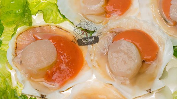 [BUY 3 FREE 1] Frozen Half Shell Scallop With Roe 800GM