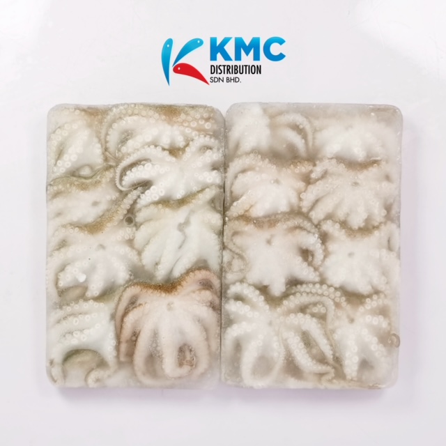 Squid Baby Octopus KMC Distribution Sdn Bhd