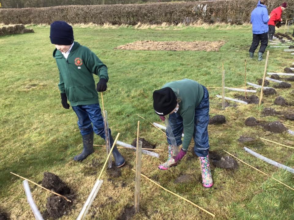 Shipley Woodside Community Garden SEAG Shipley EcoAction Group
