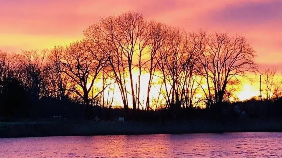 Looking back at 2022 Sea Girt Conservancy