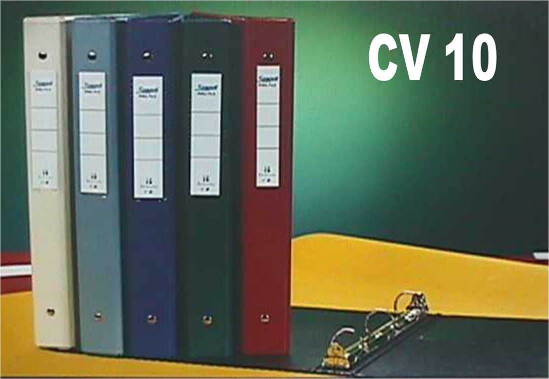 Ring Binders Seagull