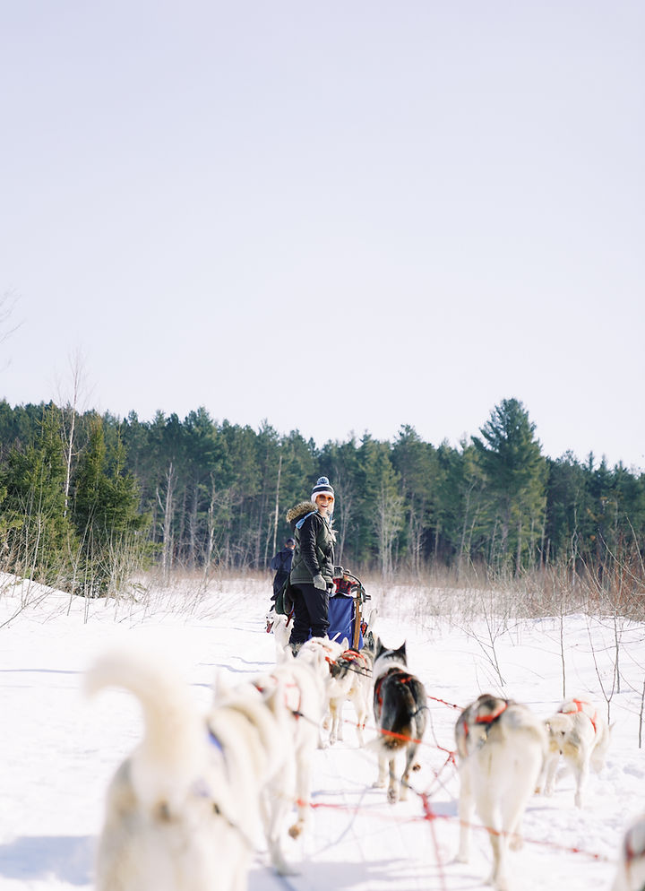 Dog Sledding in Bayfield, Wisconsin An Adventure of a Lifetime