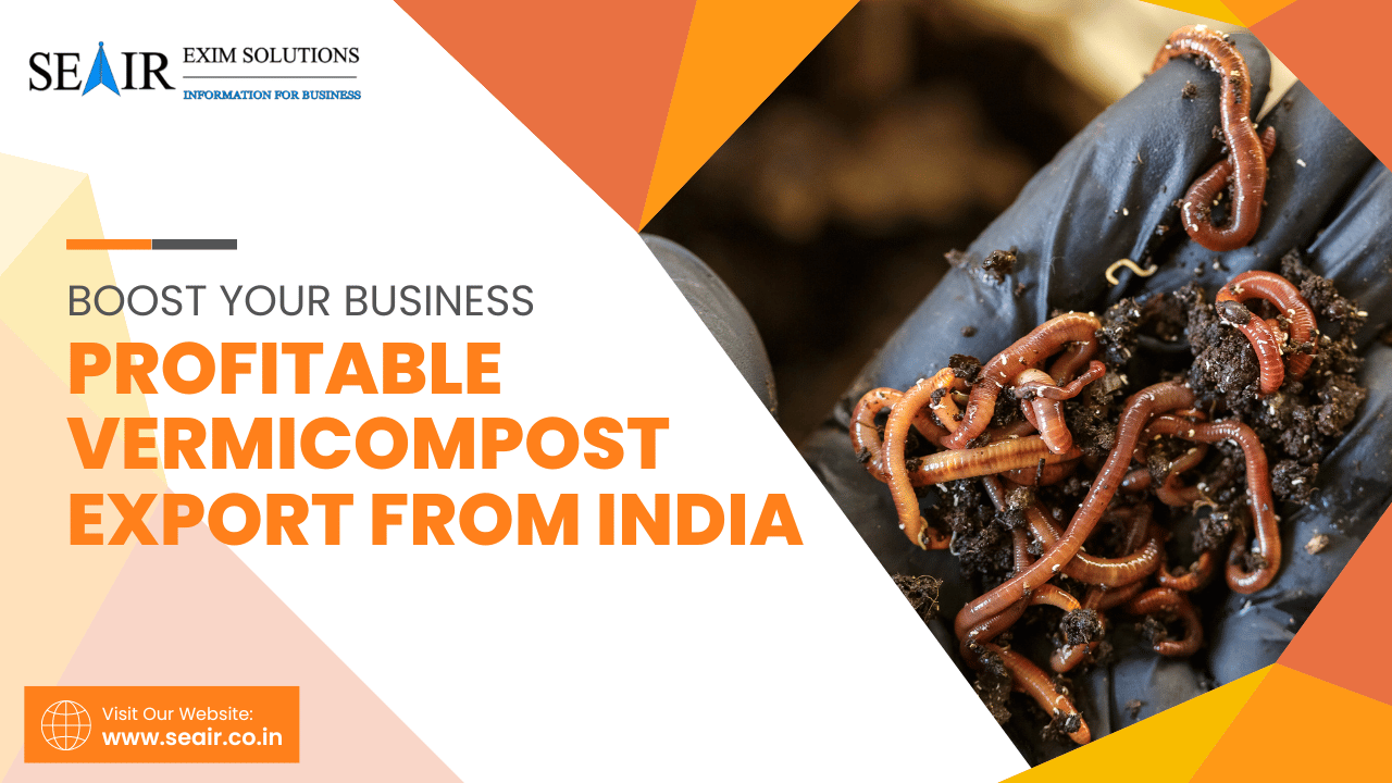 Boost Your Business Profitable Export from India