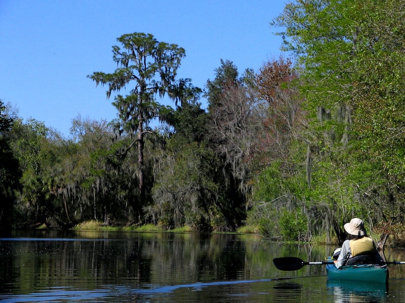 The 10 Best Places To Kayak Near Tampa SeaKayakExplorer